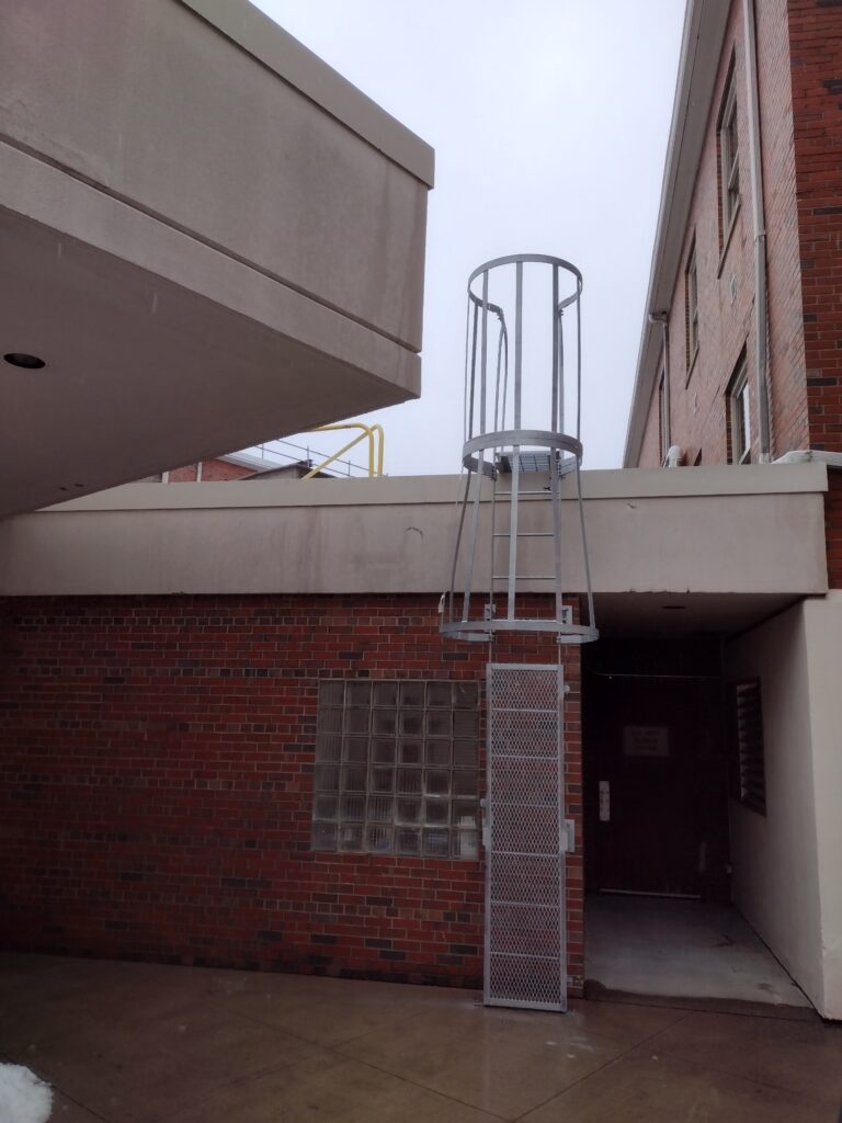 Roof scuttle ladder with cage
